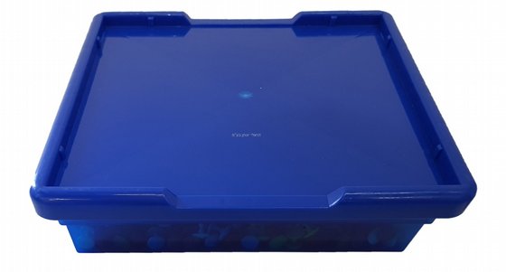 ������� ������ ������ �����