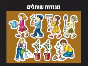 ������ ������