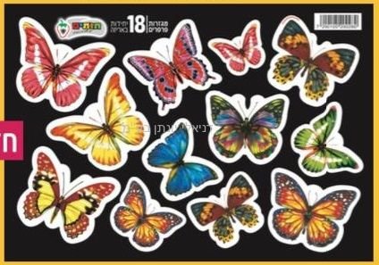 ������ ������ 18 ������