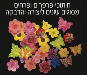 ������ ������ ������ ������ ������