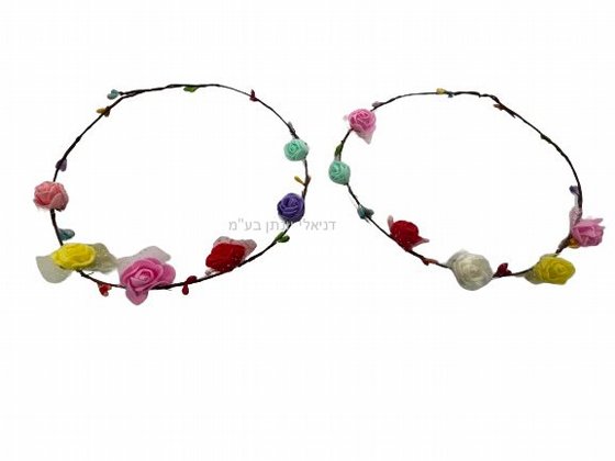 �� ����� ����