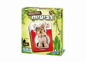 ������� ���� ����