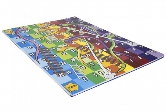 ���� ������ ������ ������