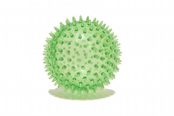 ���� ����� 12 ��