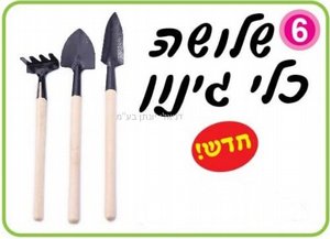 �� 3 ��� ����� ���