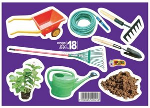 ������ ����