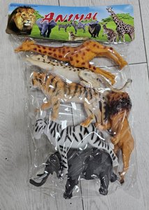 �� 6 ���� �� ������