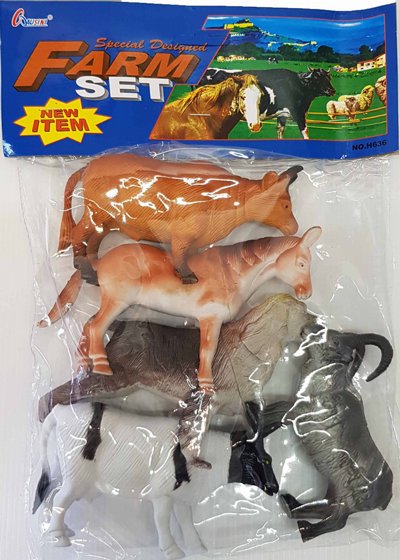5 ���� �� �����