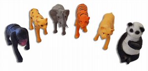 6 ���� �� �����