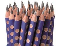 ������ ���� ���