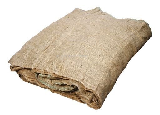 �� ���� 5 ���