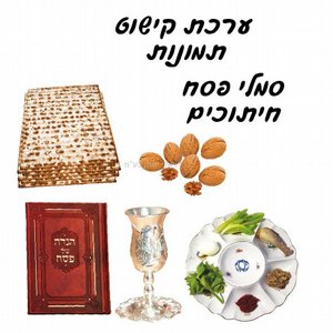 ���� ����� ��� - ������