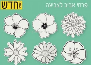 ���� ���� ������