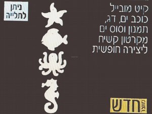 ��� ����� ������ ���� ���