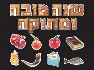 ���� ��� ���� ������ ���� ����