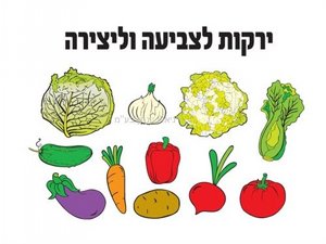 ����� ���� ������