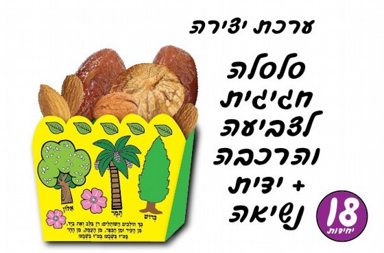 ���� ����� ����� ������ ������