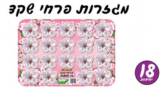 ������ ���� ���