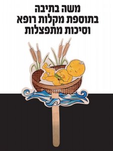 ��� ����� + ��� ���� ������ �������