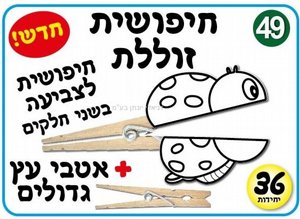 ���� ����� �������� ������ 36 ������