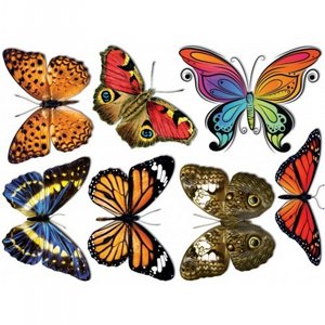 ������ ���� ������