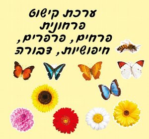 ���� ����� ������� ����