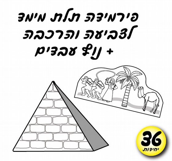���� ����� - ������� ��� ���� + �����