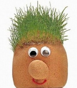 ��� ��� ������