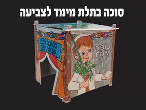 ���� ���� ���� ������