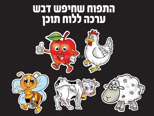 ���� ����� ������ - ����� ����� ���