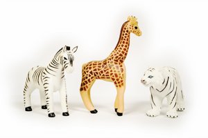 ���� ���� ���