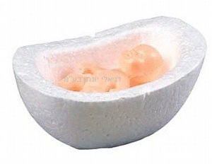 ���� ���