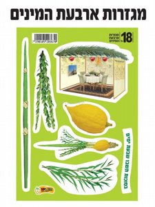 ������ ��� ����