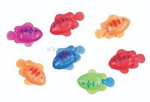 ���� ���� ��������� 20 ��