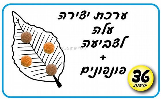 ���� ����� ��� ������ + ��������