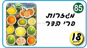 ������ ��� ���