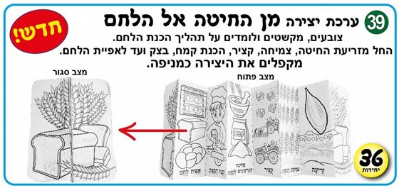 ���� ����� �� ����� �� ���� 36 ������