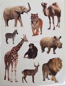 ������ ����