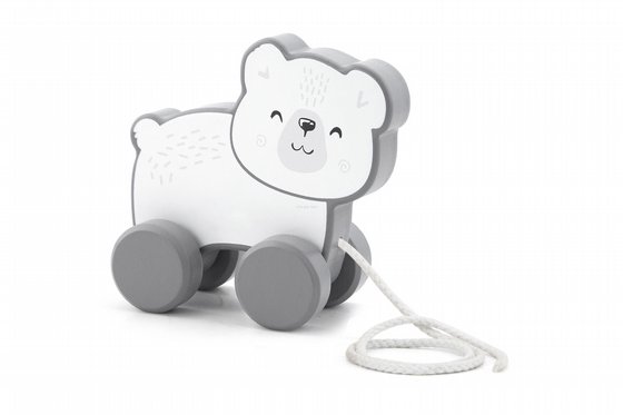 ���� ��� ��� - ��� ���� POLAR B