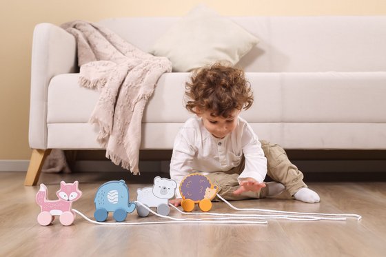 ���� ��� ��� - ��� ����� POLAR B