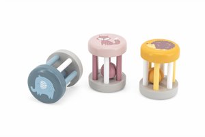 ���� ������ ��� POLAR B