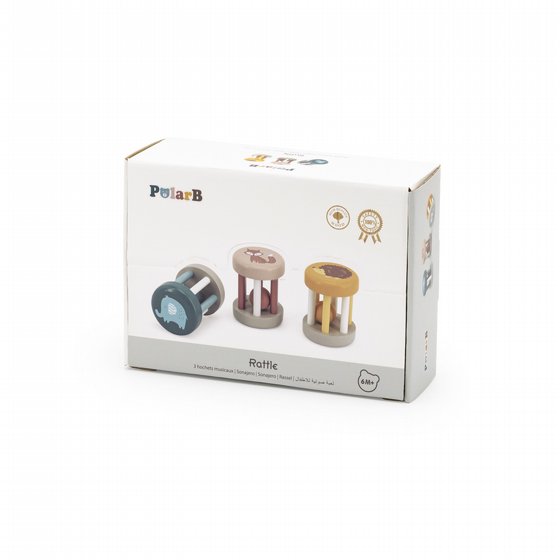 ���� ������ ��� POLAR B