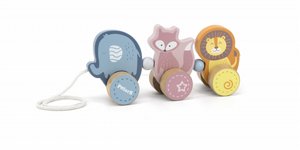 ���� ���� ���� ����� ��� POLAR B