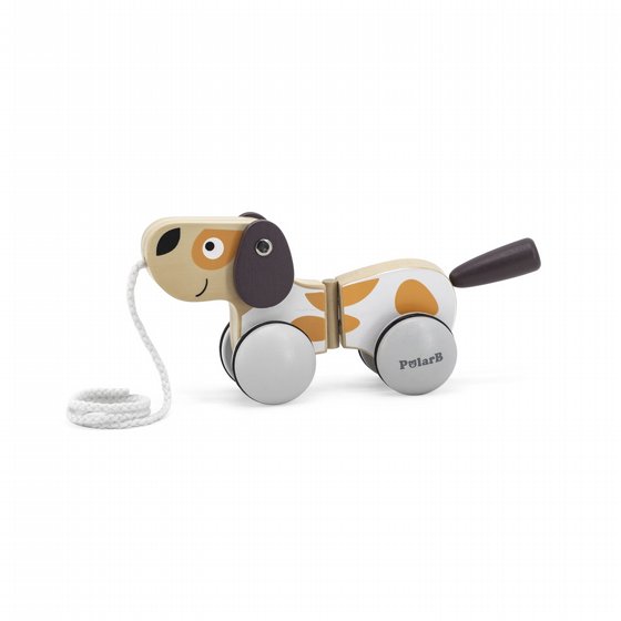 ��� ���� ��� ��� POLAR B