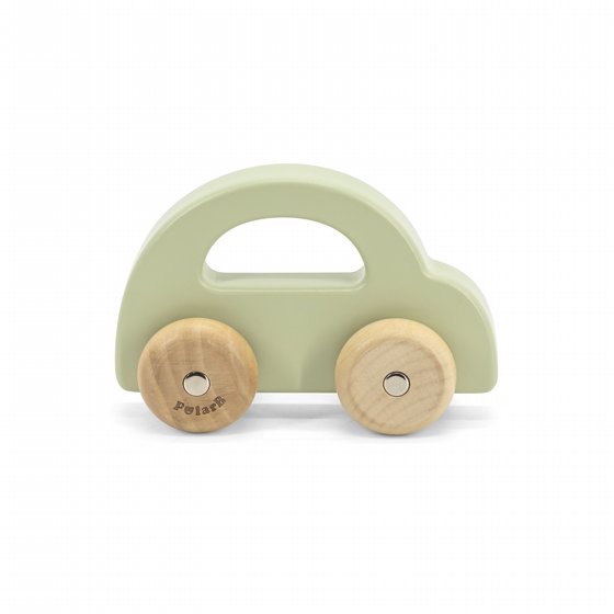 ������ ��  - ���� POLAR B