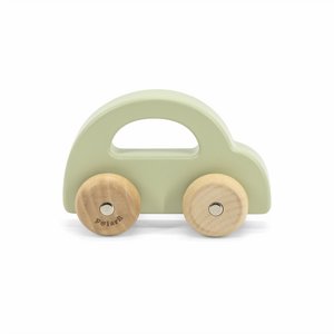 ������ ��  - ���� POLAR B
