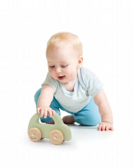������ ��  - ���� POLAR B