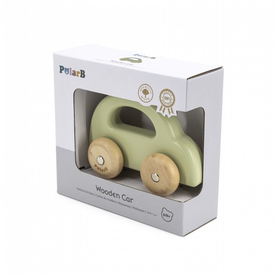 ������ ��  - ���� POLAR B