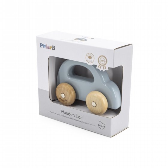 ������ ��  - ���� POLAR B