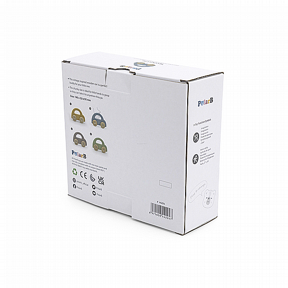 ������ ��  - ���� POLAR B